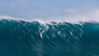 WSL tem nova agência de marketing digital