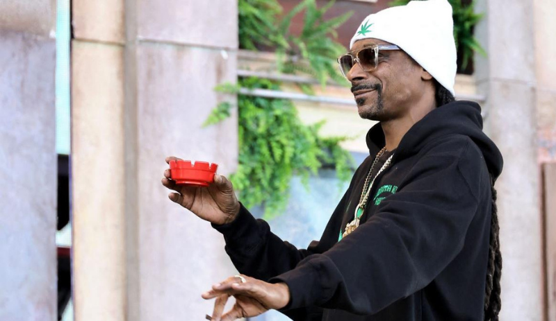 Snoop Dogg planeja criar plantação de maconha no Mobland