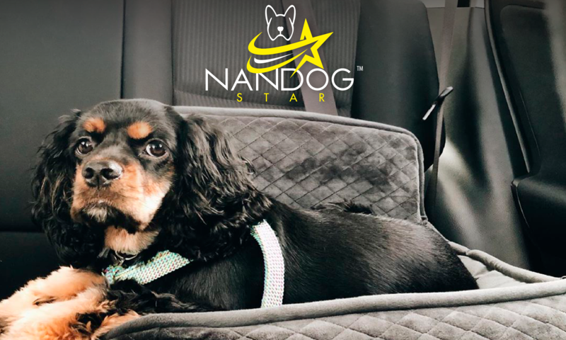 Nandog Pet Gear lança programa de afiliados para pets