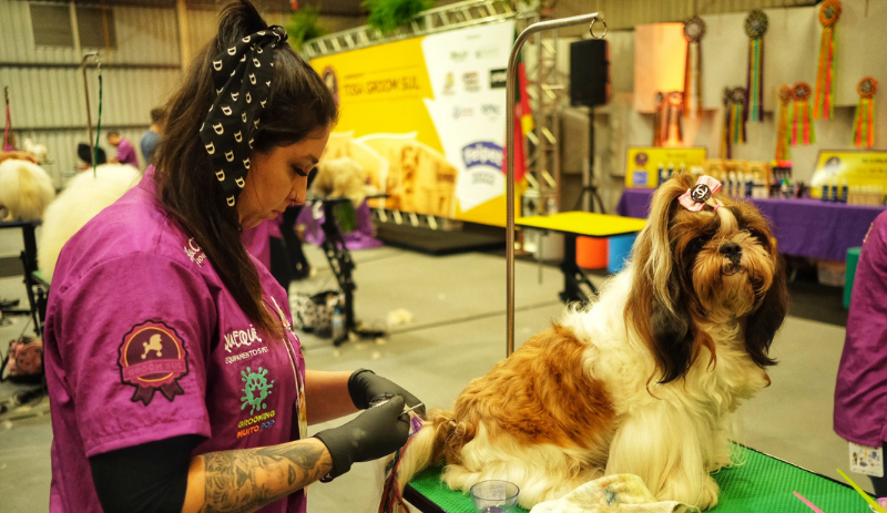 Feira de negócios leva universo pet e vet para Novo Hamburgo, RS