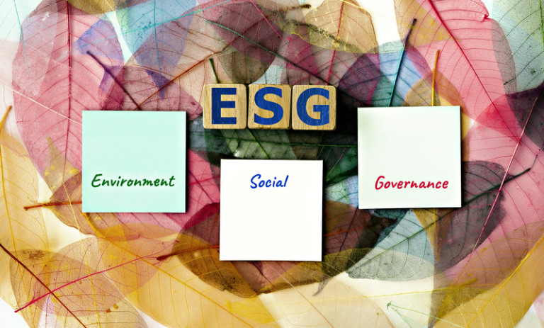 photo on ESG (Environmental, Social, and Corporate Governance) theme. wooden cubes with the acronym “ESG”, and sticky notes, on the background of skeleton magnolia leaf