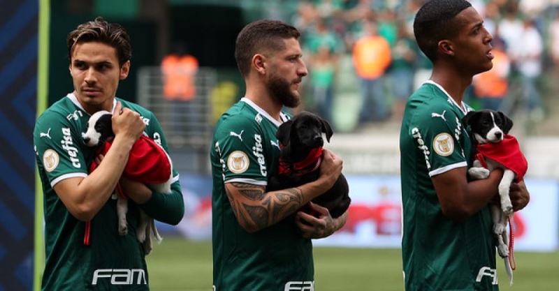 Mars e Warner fazem ação com cachorros na partida do Palmeiras