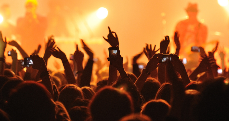 Cheering crowd at a concert