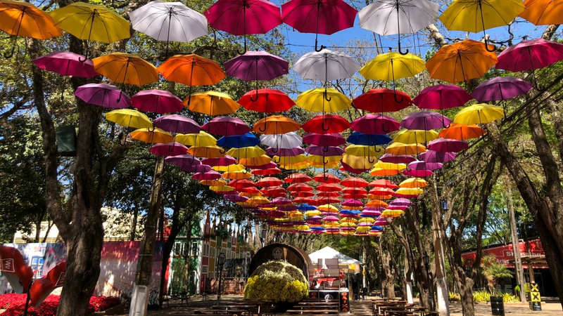 39° Expoflora será realizada em Holambra