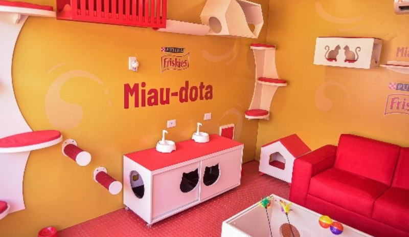 'Friskies Miau-Dota' é feira itinerante da Purina para adoção de gatos no Nordeste