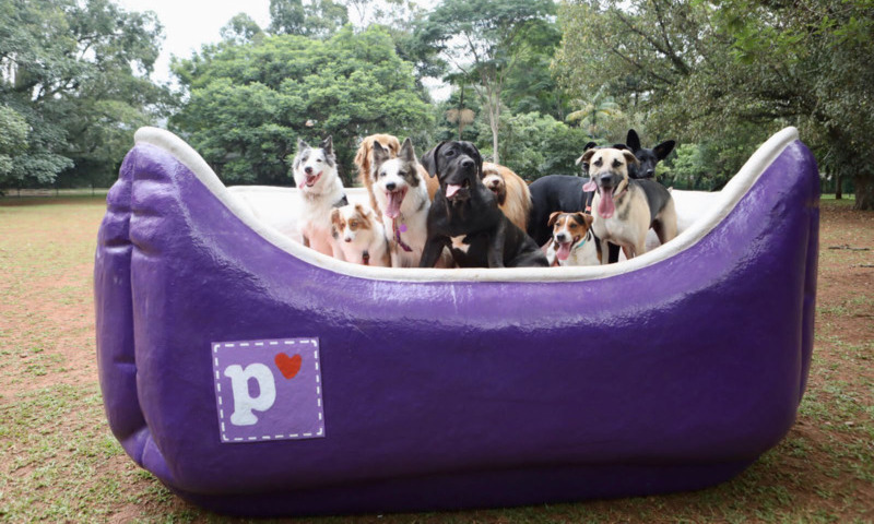 Quintal da Petlove tem objetos gigantes para cães desenvolvidos pela Innova AATB