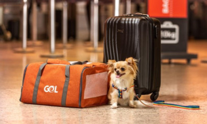 GOL retoma transporte de pets na Flórida