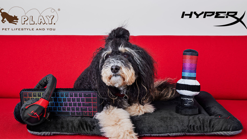 HyperX cria coleção de brinquedos para animais inspirados em periféricos gamer