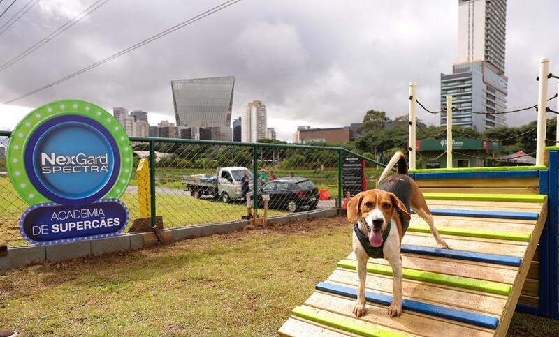 Academia de Supercães NexGard Spectra chega ao Parque Bruno Covas