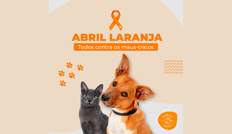 Abril Laranja alerta contra a crueldade animal