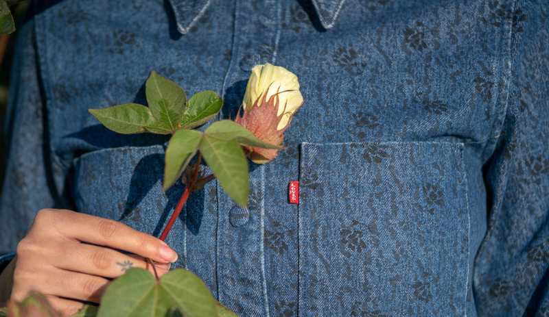 Levi's lançou nova cápsula da linha Spring/Summer 2023 de WellThread para Dia da Terra