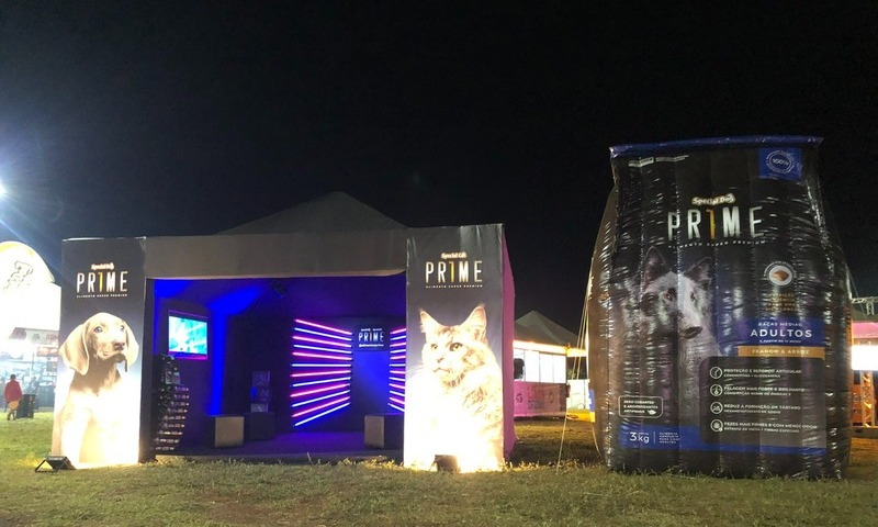 Special Dog Company realiza ação social no Rock Rio Pardo 2023