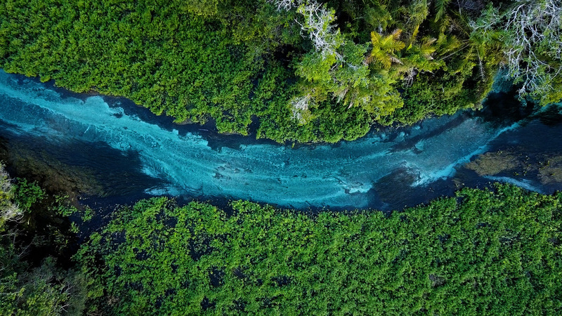 Série documental revela potencial do turismo ecológico no Mato Grosso do Sul