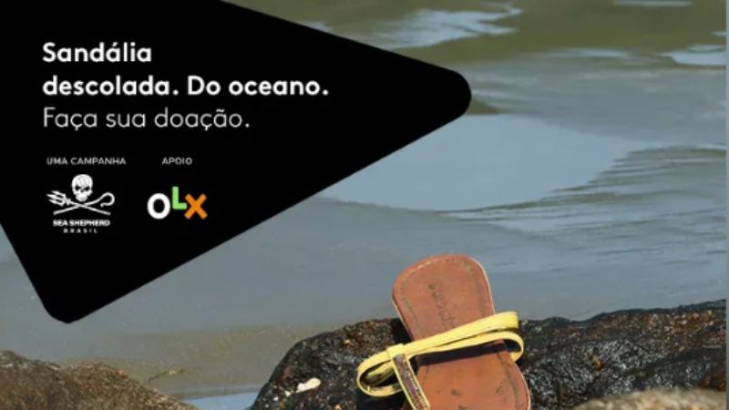 OLX cria loja de Achados pelo oceano com lixo descartado em praias e mares