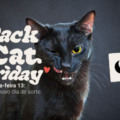 Petlove faz nova edição da campanha Black Cat Friday