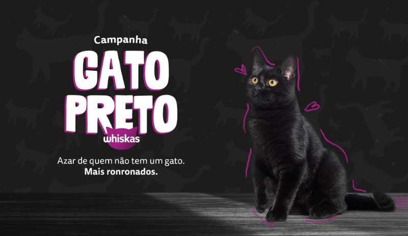 Whiskas promove campanha de conscientização no Mês do Gato Preto