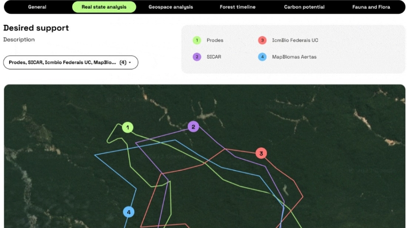 Moss leva à COP28 inteligência artificial para proteger a Amazônia