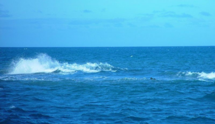 12 de Outubro - Dia do Mar