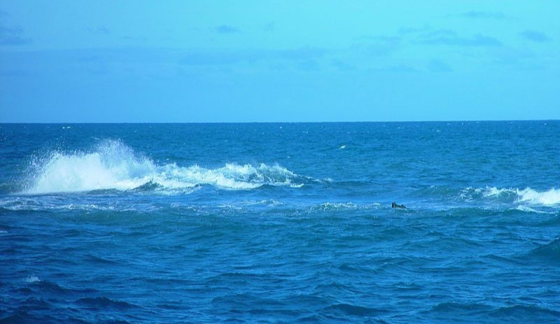 12 de Outubro - Dia do Mar