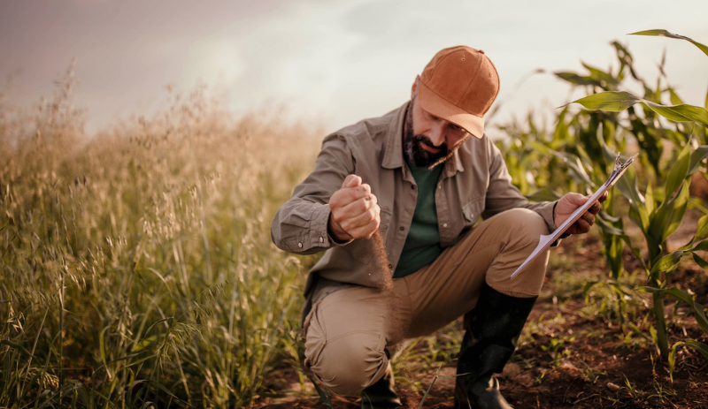 12 de Outubro - Dia do Engenheiro Agrônomo