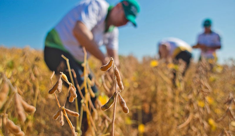 28 de Julho - Dia do Agricultor