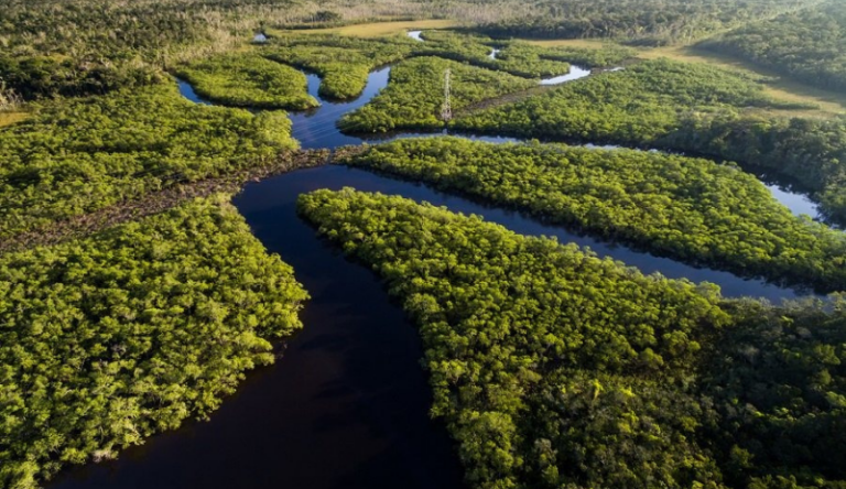 05 - Dia da Amazônia