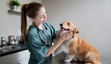 09 - Dia do Médico Veterinário