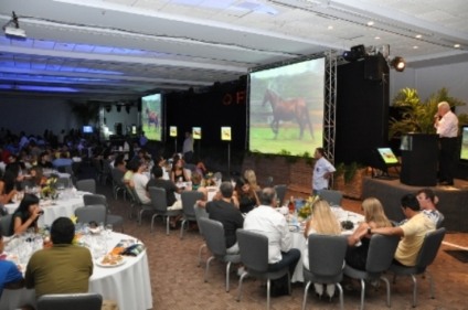 Ápice Bahia produz Leilão EAO Iguape