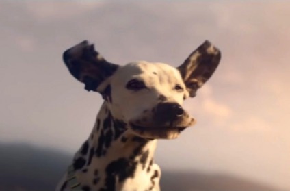 Filme da Budweiser no Super Bowl promove a sustentabilidade