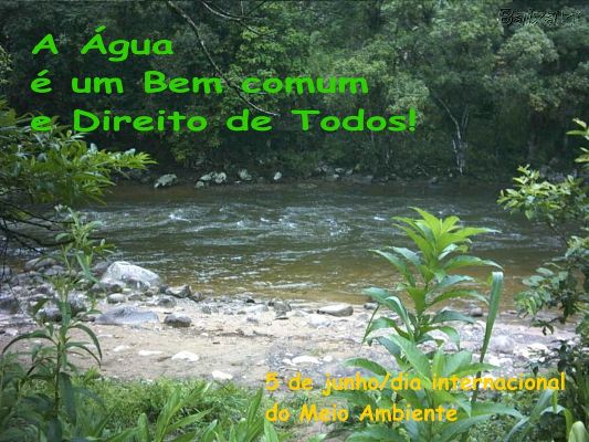 Dia do Meio Ambiente deve ser usado para conscientização Dia do Meio Ambiente deve ser usado para conscientização