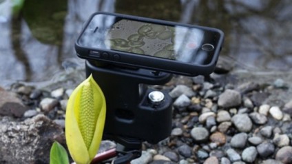 Gadget transforma smartphone em microscópio