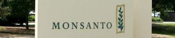 Monsanto cria aplicativo para produtores