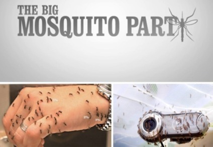Loja se enche de mosquitos para promover produtos