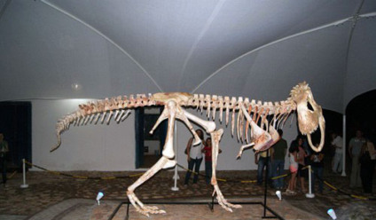 Museu da Pré-história oferece oficina de cerâmica
