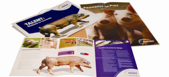 Nanquim criou para Topigs na PortExpo