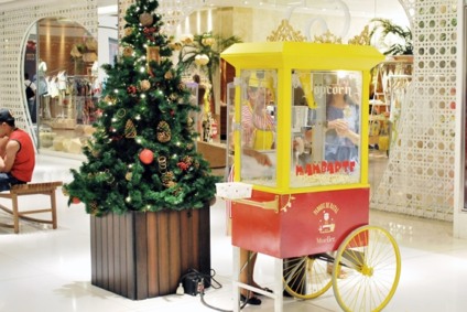 Shopping Mueller anuncia atrações de Natal