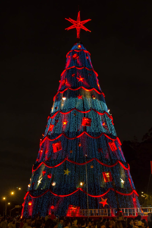 Grande público prestigia Árvore de Natal no Ibirapuera