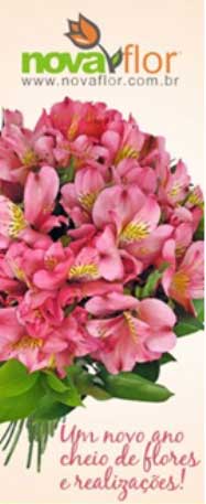 CookieWeb cria ação promo para Nova Flor