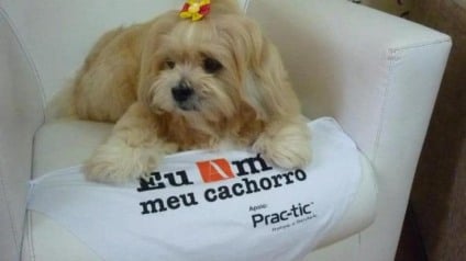 Novartis é parceiro da promo "Eu Amo Meu Cachorro"