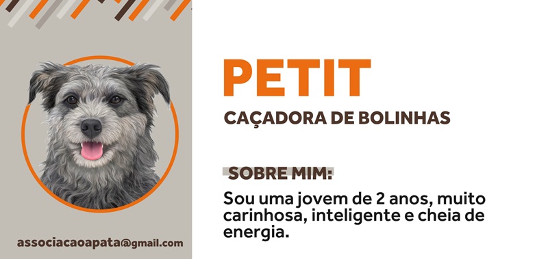 PremieRpet incentiva a adoção de pets com a #AdoteUmCV