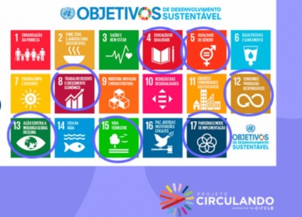Como o Projeto Circulando está desenvolvendo os ODS da ONU