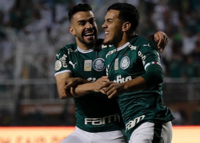 palmeiras e globo