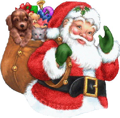 Shoppings paulistas recebem Papai Noel