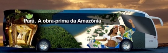 para no festuris
