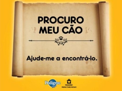 Pedigree ajuda a encontrar cães abandonados