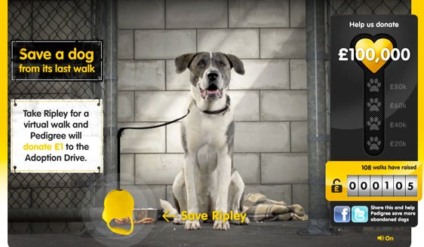 Passeio virtual salva vida de cães na Inglaterra