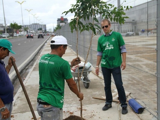 Mudas de mais de dois metros foram plantadas.