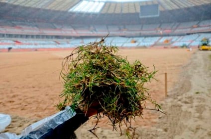 Mineirão é o primeiro estádio a receber gramado