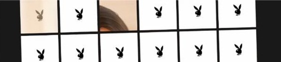 Playboy cria álbum de fotos interativo no Twitter