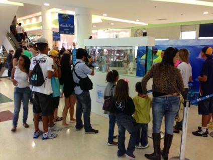 Plaza Sul e Boa Vista em ação de conscientização